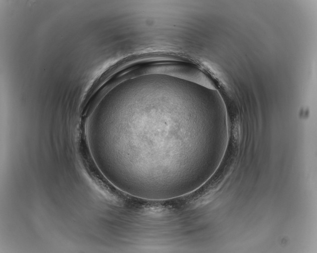 X0000092250540200709141150