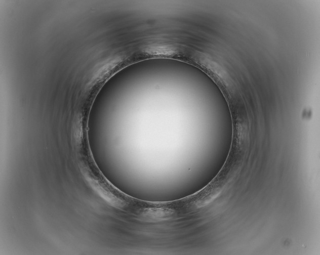 X0000092250541200709141150