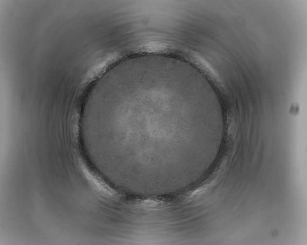 X0000092250542200709141150
