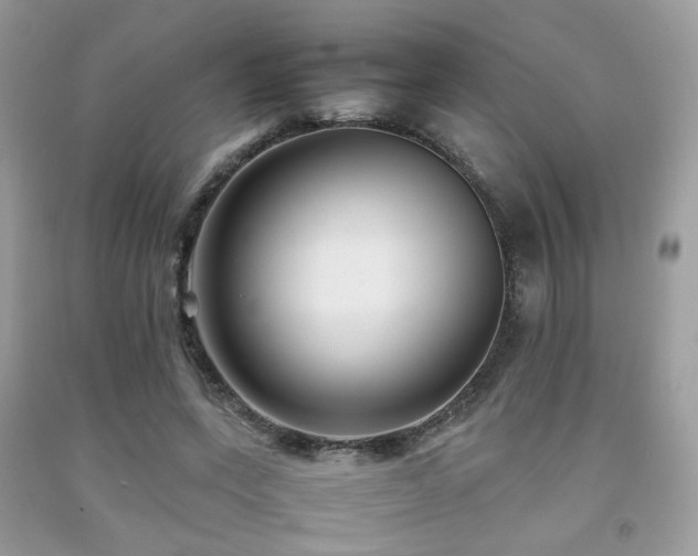 X0000092250543200709141150