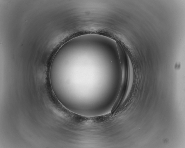X0000092250544200709141150