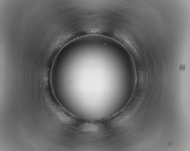 X0000092250545200709141150