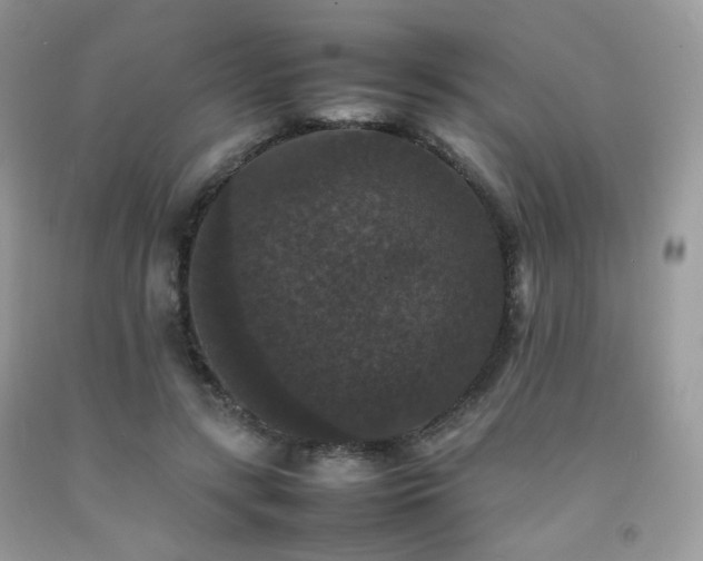 X0000092250547200709141150