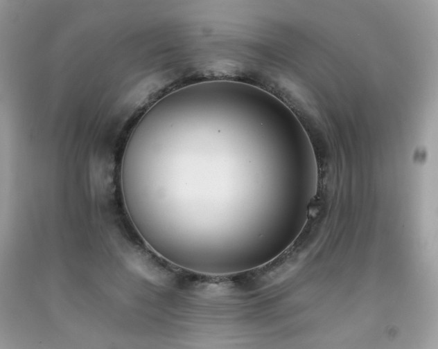 X0000092250548200709141150