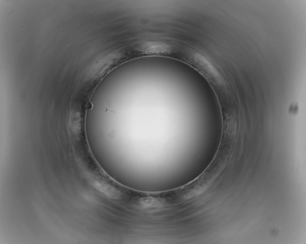 X0000092250549200709141150
