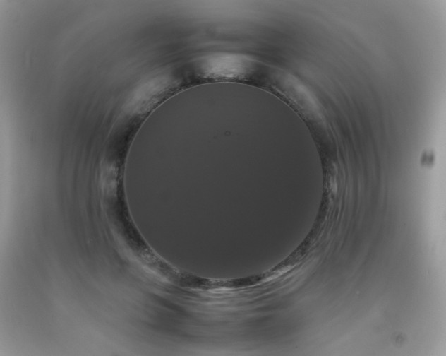 X0000092250551200709141150
