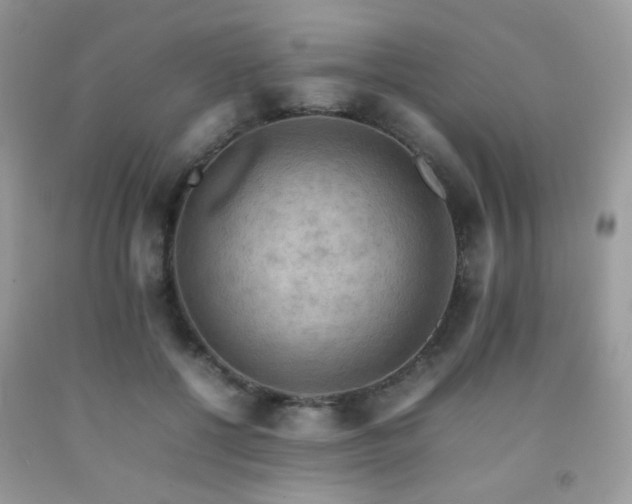 X0000092250552200709141150
