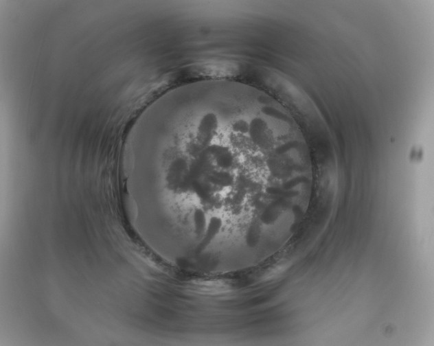 X0000092250553200709141150