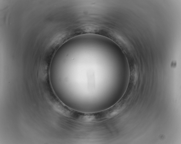 X0000092250554200709141150