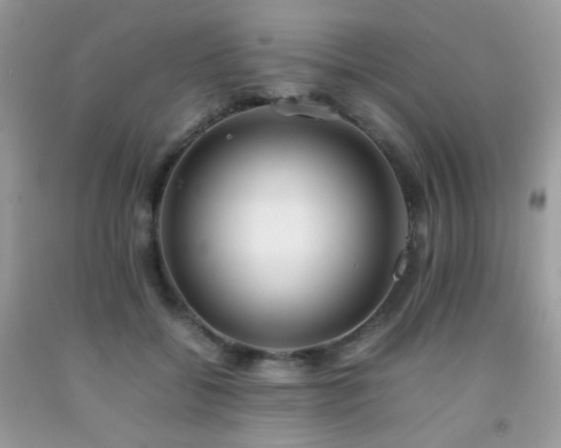 X0000092250556200709141150
