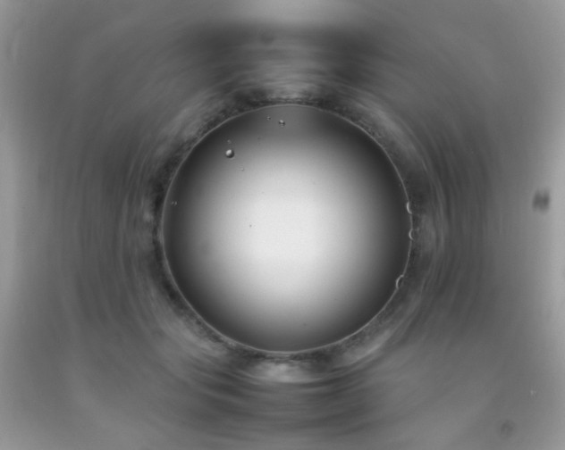 X0000092250557200709141150