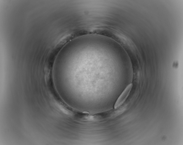 X0000092250558200709141150
