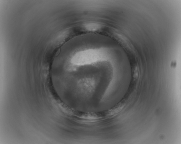 X0000092250559200709141150