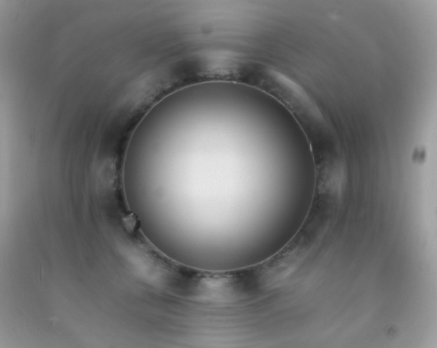 X0000092250560200709141150