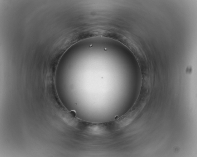 X0000092250561200709141150