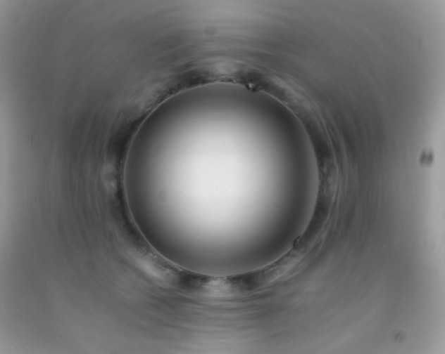 X0000092250562200709141150