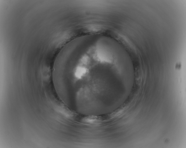 X0000092250563200709141150
