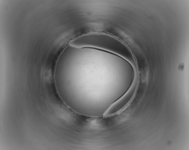 X0000092250564200709141150
