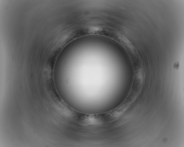 X0000092250565200709141150