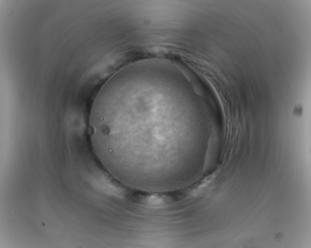 X0000092250566200709141150