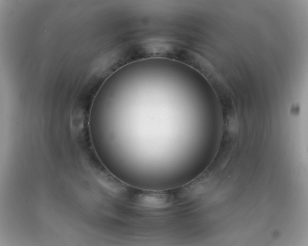 X0000092250567200709141150