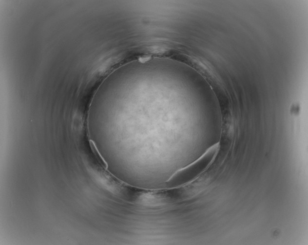 X0000092250568200709141150