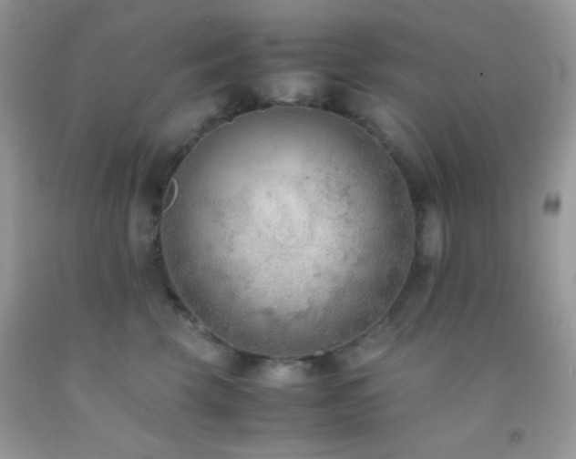 X0000092250569200709141150