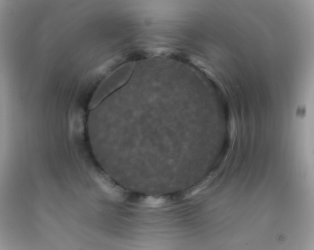 X0000092250570200709141150