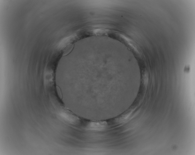 X0000092250571200709141150