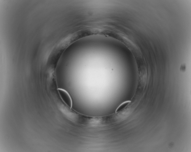 X0000092250574200709141150