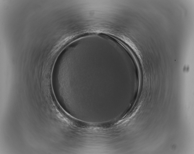 X0000092250577200709141150