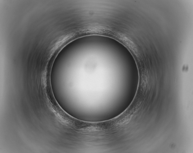 X0000092250578200709141150
