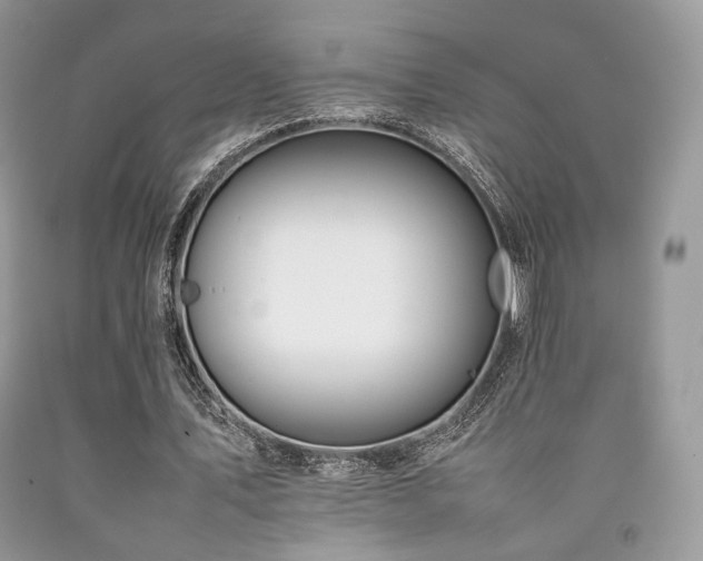 X0000092250579200709141150