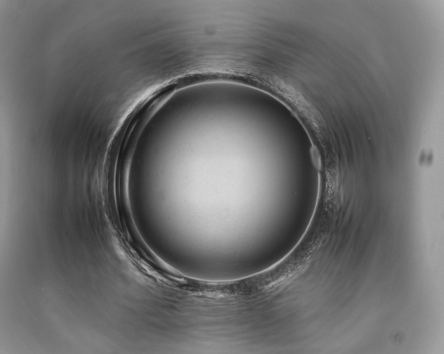 X0000092250580200709141150
