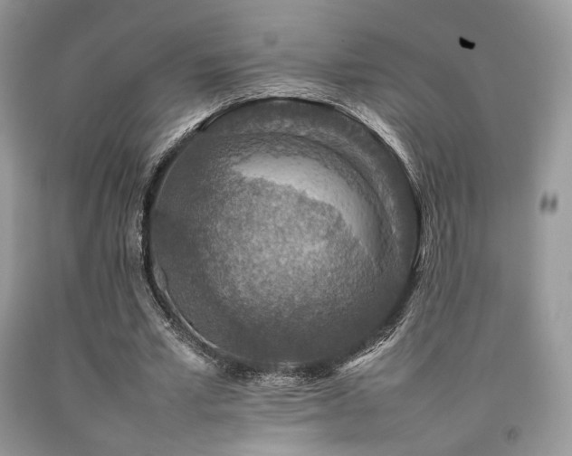 X0000092250581200709141150