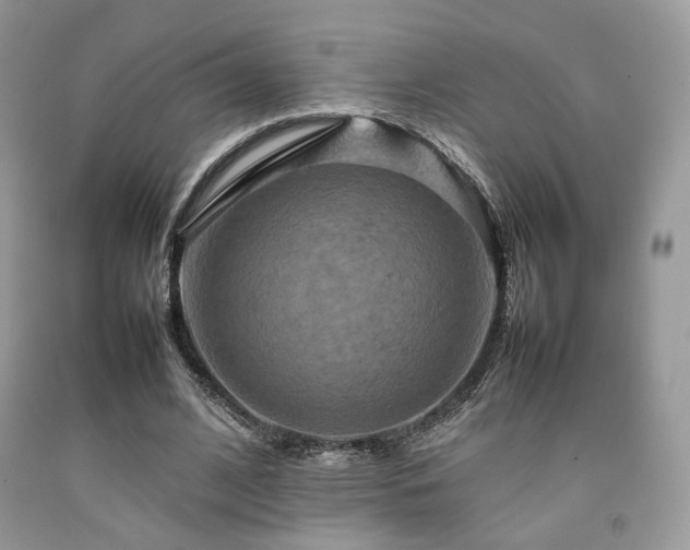 X0000092250584200709141150