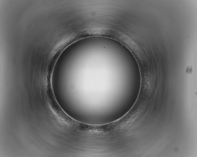 X0000092250586200709141150