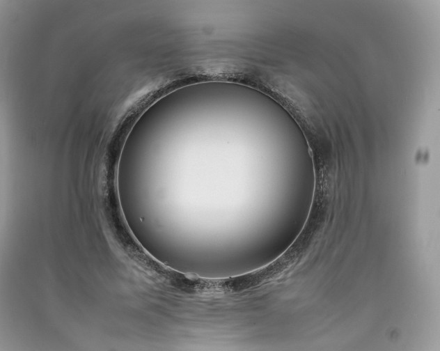 X0000092250587200709141150