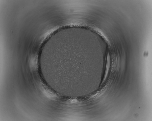 X0000092250588200709141150