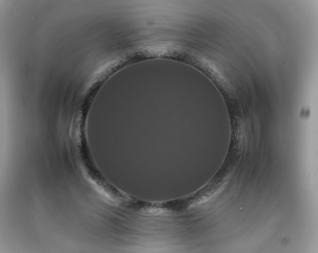 X0000092250590200709141150