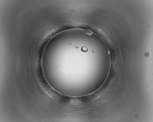 X0000092250591200709141150