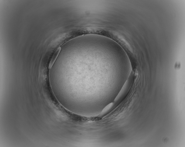 X0000092250593200709141150