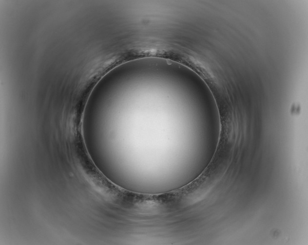 X0000092250594200709141150