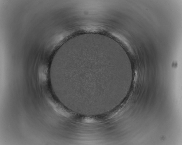 X0000092250596200709141150