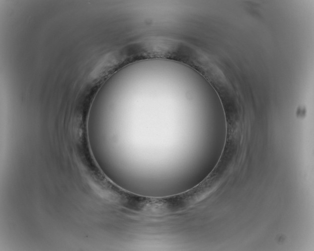 X0000092250599200709141150