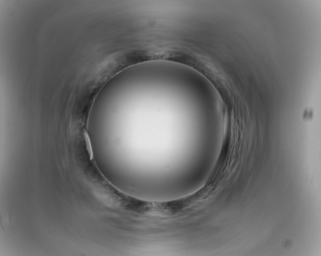 X0000092250601200709141150