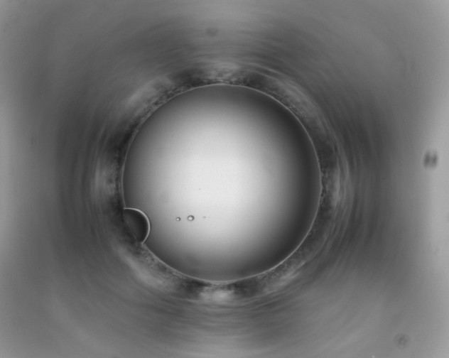 X0000092250602200709141150