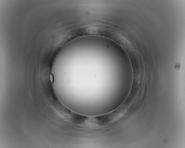 X0000092250603200709141150