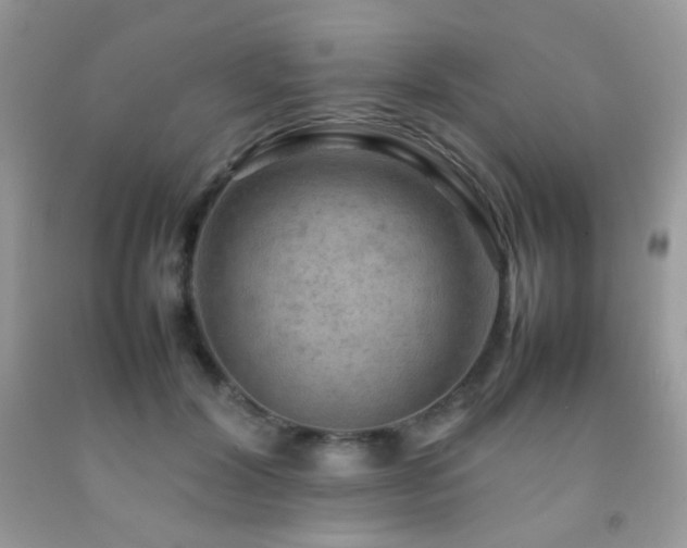 X0000092250604200709141150