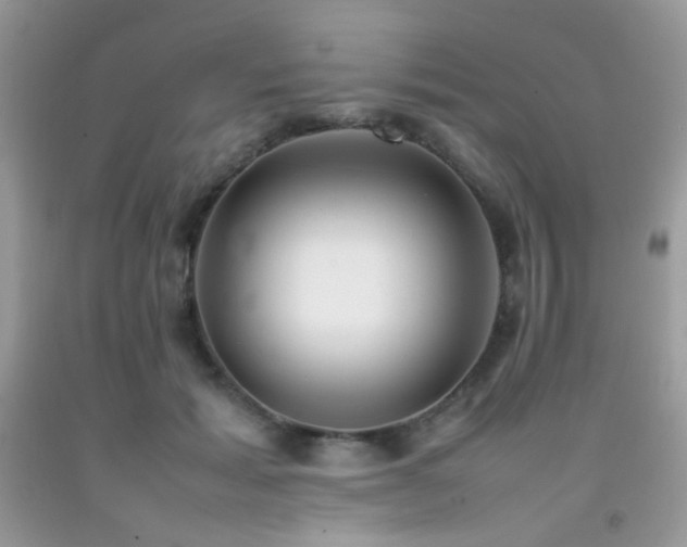 X0000092250605200709141150